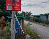 ขายที่ดินผังเมืองสีชมพู หนองเสือ ปทุมธานี 1 งาน มี 2 แปลง