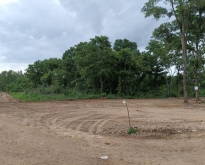 ขายที่ดิน21ไร่ ยกแปลง2.5ล้านบาท ทางบ้านนาลาดควายไปดอนยาง