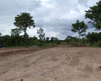ขายที่ดิน21ไร่ ยกแปลง2.5ล้านบาท ทางบ้านนาลาดควายไปดอนยาง
