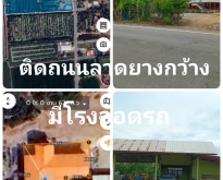 ขายบ้านเดี่ยว 2 ชั้น พร้อมสวนมะม่วงน้ำดอกไม้