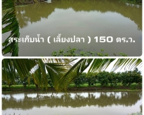 ขายบ้านเดี่ยว 2 ชั้น พร้อมสวนมะม่วงน้ำดอกไม้