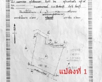 ขายที่ดิน. สวนยางพร้อมตัดได้เลย! และ ไม้กฤษณา อายุ 20 ปี