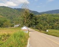 ขายที่ดิน พิกัด ต.แม่ลาว อำเภอเชียงคำ จังหวัดพะเยา