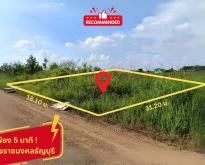 ขาย ที่ดินคลอง 6 ถึงราชมงคลธัญบุรี เพียง 5 นาที เนื้อที่ 150 ตร.ว