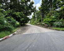 ขายที่ดินเปล่ารูปแปลงสี่เหลี่ยม 516 ตรว. ในสนามกอล์ฟ หมู่บ้านกรีนวัลเล