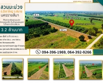 ขายที่ดิน พร้อมสวนมะม่วง อ.พิมาย จ.นครราชสีมา