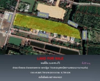 ขายที่ดิน ติดถนนพุทธมณฑลสาย 7 ใกล้เซ็นทรัล นครปฐม