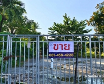 ขายที่ดิน ตัวเมืองลำพูน 5-0-79.4 ไร่ ใกล้ตลาดสดหนองดอก